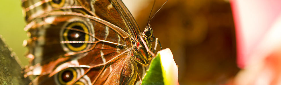 【无广告清爽版】干净纯净的手机号压测网站