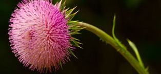 电话压力测试器